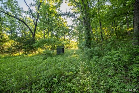 Tiny photo for 11953 Apollo, Unincorporated, MO 64631 (MLS # 25035041)