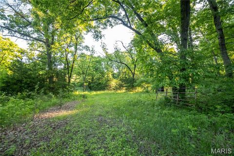 Tiny photo for 11953 Apollo, Unincorporated, MO 64631 (MLS # 25035041)