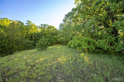 Tiny photo for 11953 Apollo, Unincorporated, MO 64631 (MLS # 25035041)