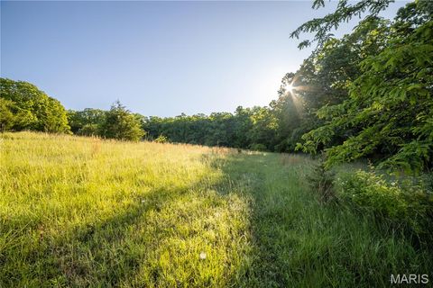 Tiny photo for 11953 Apollo, Unincorporated, MO 64631 (MLS # 25035041)