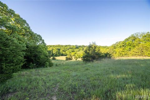 Tiny photo for 11953 Apollo, Unincorporated, MO 64631 (MLS # 25035041)