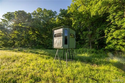 Tiny photo for 11953 Apollo, Unincorporated, MO 64631 (MLS # 25035041)