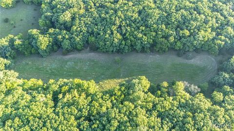 Tiny photo for 11953 Apollo, Unincorporated, MO 64631 (MLS # 25035041)