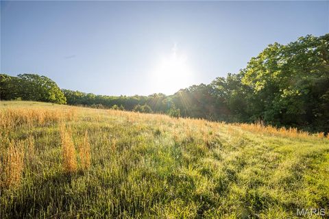 Tiny photo for 11953 Apollo, Unincorporated, MO 64631 (MLS # 25035041)