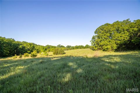 Tiny photo for 11953 Apollo, Unincorporated, MO 64631 (MLS # 25035041)