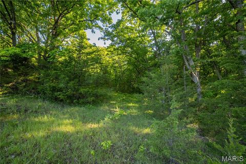 Tiny photo for 11953 Apollo, Unincorporated, MO 64631 (MLS # 25035041)