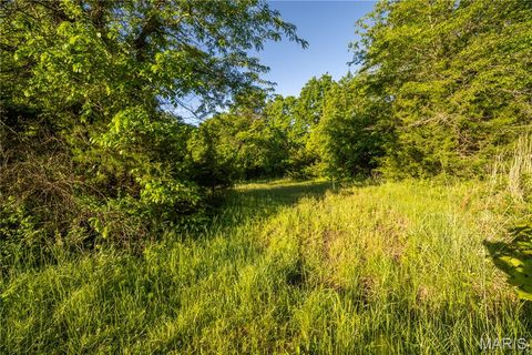 Tiny photo for 11953 Apollo, Unincorporated, MO 64631 (MLS # 25035041)