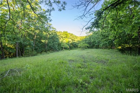 Tiny photo for 11953 Apollo, Unincorporated, MO 64631 (MLS # 25035041)