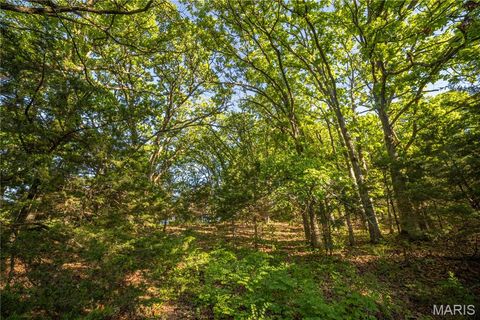 Tiny photo for 11953 Apollo, Unincorporated, MO 64631 (MLS # 25035041)