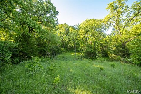 Tiny photo for 11953 Apollo, Unincorporated, MO 64631 (MLS # 25035041)
