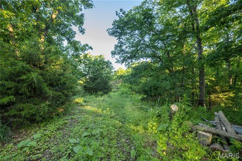 Tiny photo for 11953 Apollo, Unincorporated, MO 64631 (MLS # 25035041)