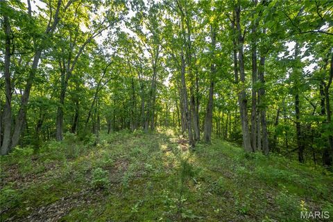 Tiny photo for 11953 Apollo, Unincorporated, MO 64631 (MLS # 25035041)