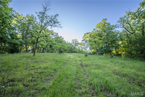 Tiny photo for 11953 Apollo, Unincorporated, MO 64631 (MLS # 25035041)