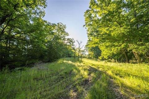 Tiny photo for 11953 Apollo, Unincorporated, MO 64631 (MLS # 25035041)