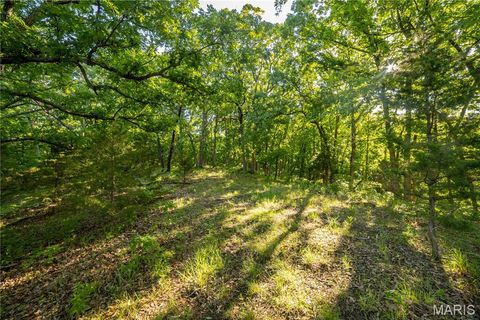 Tiny photo for 11953 Apollo, Unincorporated, MO 64631 (MLS # 25035041)