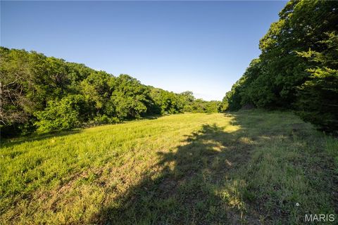 Tiny photo for 11953 Apollo, Unincorporated, MO 64631 (MLS # 25035041)