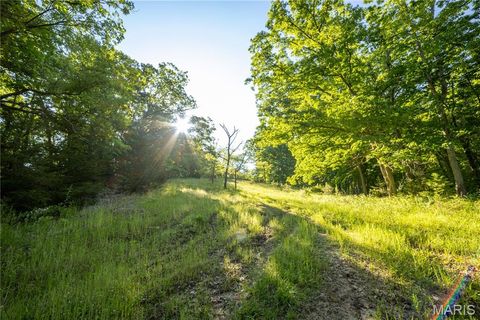 Tiny photo for 11953 Apollo, Unincorporated, MO 64631 (MLS # 25035041)