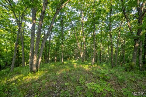 Tiny photo for 11953 Apollo, Unincorporated, MO 64631 (MLS # 25035041)
