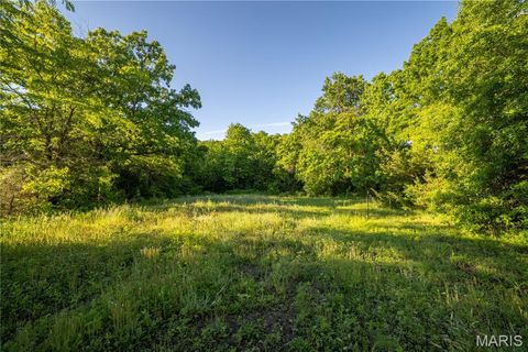 Tiny photo for 11953 Apollo, Unincorporated, MO 64631 (MLS # 25035041)