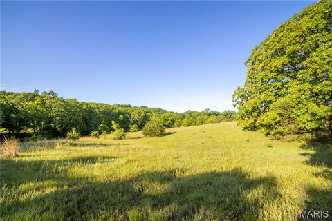 Tiny photo for 11953 Apollo, Unincorporated, MO 64631 (MLS # 25035041)