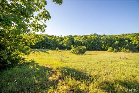 Tiny photo for 11953 Apollo, Unincorporated, MO 64631 (MLS # 25035041)