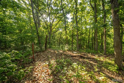 Tiny photo for 11953 Apollo, Unincorporated, MO 64631 (MLS # 25035041)