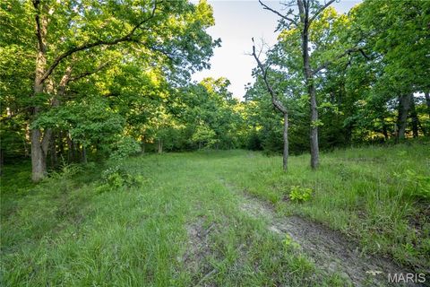 Tiny photo for 11953 Apollo, Unincorporated, MO 64631 (MLS # 25035041)