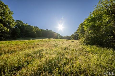 Tiny photo for 11953 Apollo, Unincorporated, MO 64631 (MLS # 25035041)