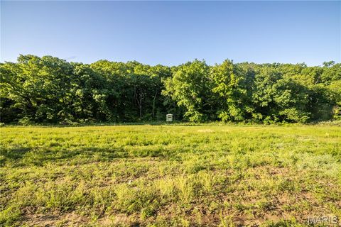 Tiny photo for 11953 Apollo, Unincorporated, MO 64631 (MLS # 25035041)