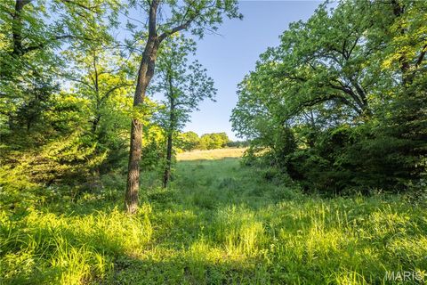 Tiny photo for 11953 Apollo, Unincorporated, MO 64631 (MLS # 25035041)