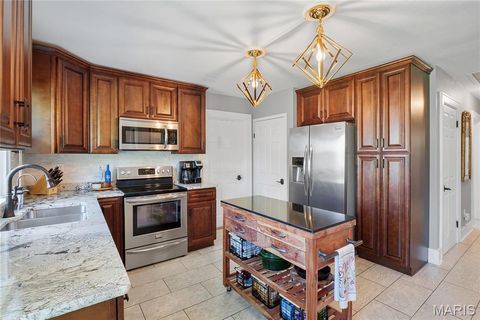 Tiny photo for 1016 Forest Avenue, Kirkwood, MO 63122 (MLS # 26001569)