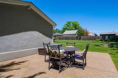 Tiny photo for 1016 Forest Avenue, Kirkwood, MO 63122 (MLS # 26001569)