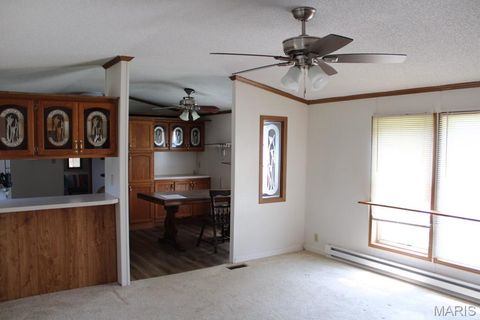 Tiny photo for 124 New Hope Road, Elsberry, MO 63343 (MLS # 25027841)