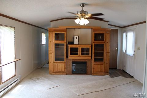 Tiny photo for 124 New Hope Road, Elsberry, MO 63343 (MLS # 25027841)