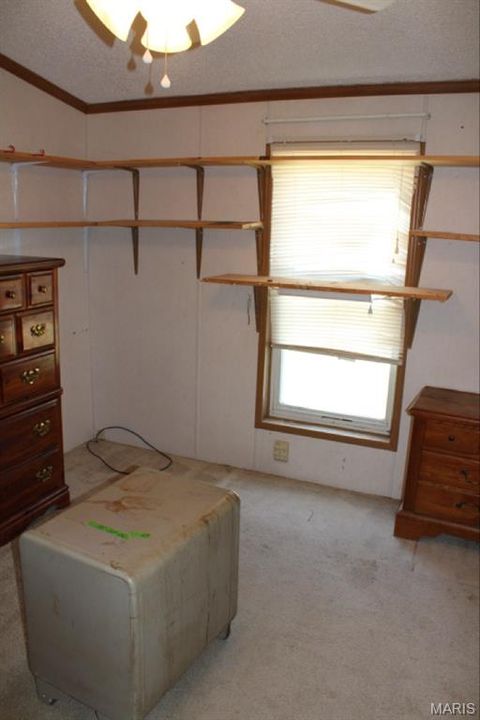 Tiny photo for 124 New Hope Road, Elsberry, MO 63343 (MLS # 25027841)