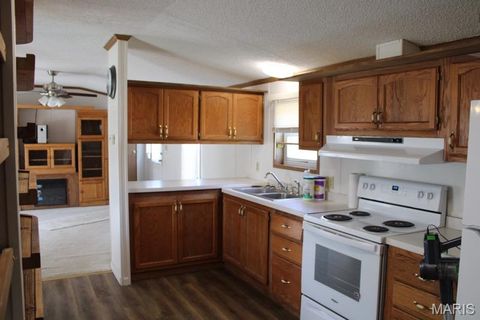Tiny photo for 124 New Hope Road, Elsberry, MO 63343 (MLS # 25027841)