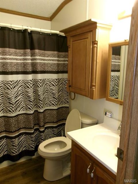Tiny photo for 124 New Hope Road, Elsberry, MO 63343 (MLS # 25027841)