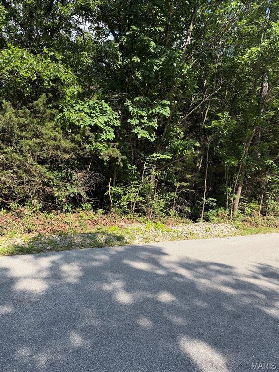 0 E Vista Dr Sec 14 Lot 70 - Photo 3