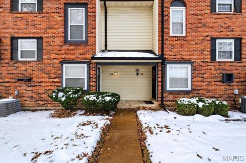 Photo of 96 Conway Cove Drive, Chesterfield, MO 63017 (MLS # 25078414)