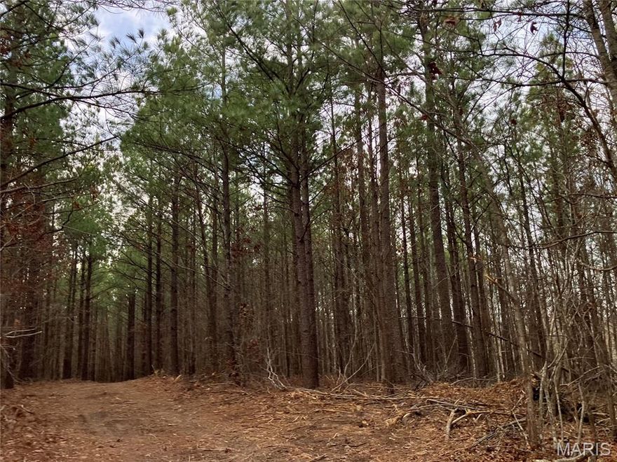 This nearly nine acre Ozark hideaway includes deeded access to a nearby shared spring-fed stream, and sits within about a mile of Mark Twain National Forest. 
The wooded property comes with NO restrictions, and has an unimproved access road around three sides. And there's a nice deeded easement road leading from the county road to the property.
Hunt, camp, build, ride ATVs on your own land, or fish or play in the shared creek section ... endless opportunities.
This property is wooded and rolling. You are within a mile of the 22,176-acre Mark Twain National Forest ... public ground where you can also hunt, ride and explore. All this, and only about 2 miles by road from U.S. 67.
Use this wooded, secluded property as a base camp for adventure. This and surrounding land is teeming with deer, turkey and small game, and the occasional feral hog or maybe a black bear.
There is additional acres available which adjoin this piece if interested.