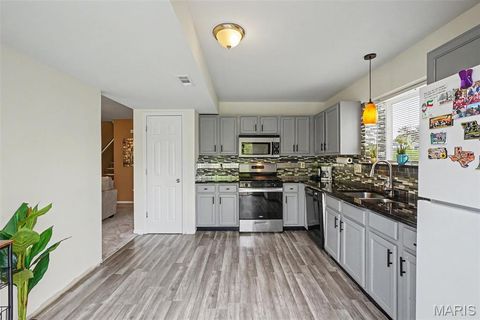 Tiny photo for 11 Ramblewood Court, Wentzville, MO 63385 (MLS # 26025253)