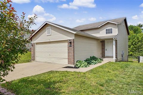 Photo of 11 Ramblewood Court, Wentzville, MO 63385 (MLS # 26025253)