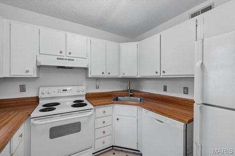 Tiny photo for 9194 Wrenwood Lane, Brentwood, MO 63144 (MLS # 26046602)