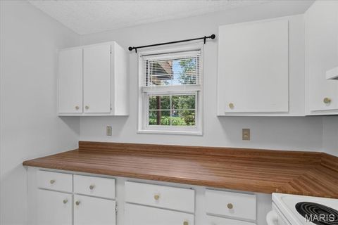 Tiny photo for 9194 Wrenwood Lane, Brentwood, MO 63144 (MLS # 26046602)