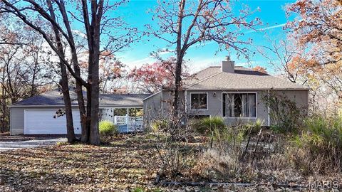 131 Evergreen Dr Hillsboro MO 63050