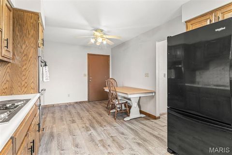 Tiny photo for 13113 Lakewood Drive, Ste Genevieve, MO 63670 (MLS # 26018880)