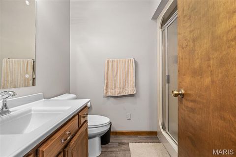 Tiny photo for 13113 Lakewood Drive, Ste Genevieve, MO 63670 (MLS # 26018880)