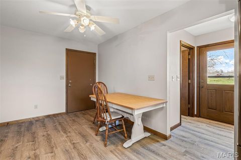 Tiny photo for 13113 Lakewood Drive, Ste Genevieve, MO 63670 (MLS # 26018880)