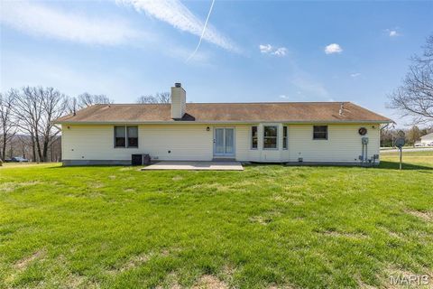 Tiny photo for 13113 Lakewood Drive, Ste Genevieve, MO 63670 (MLS # 26018880)