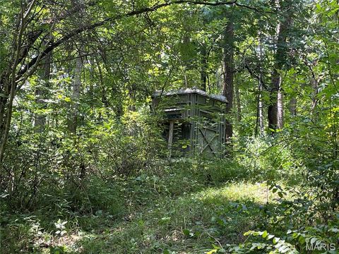 Tiny photo for 4654 Highway Yy, Salem, MO 65560 (MLS # 26046730)